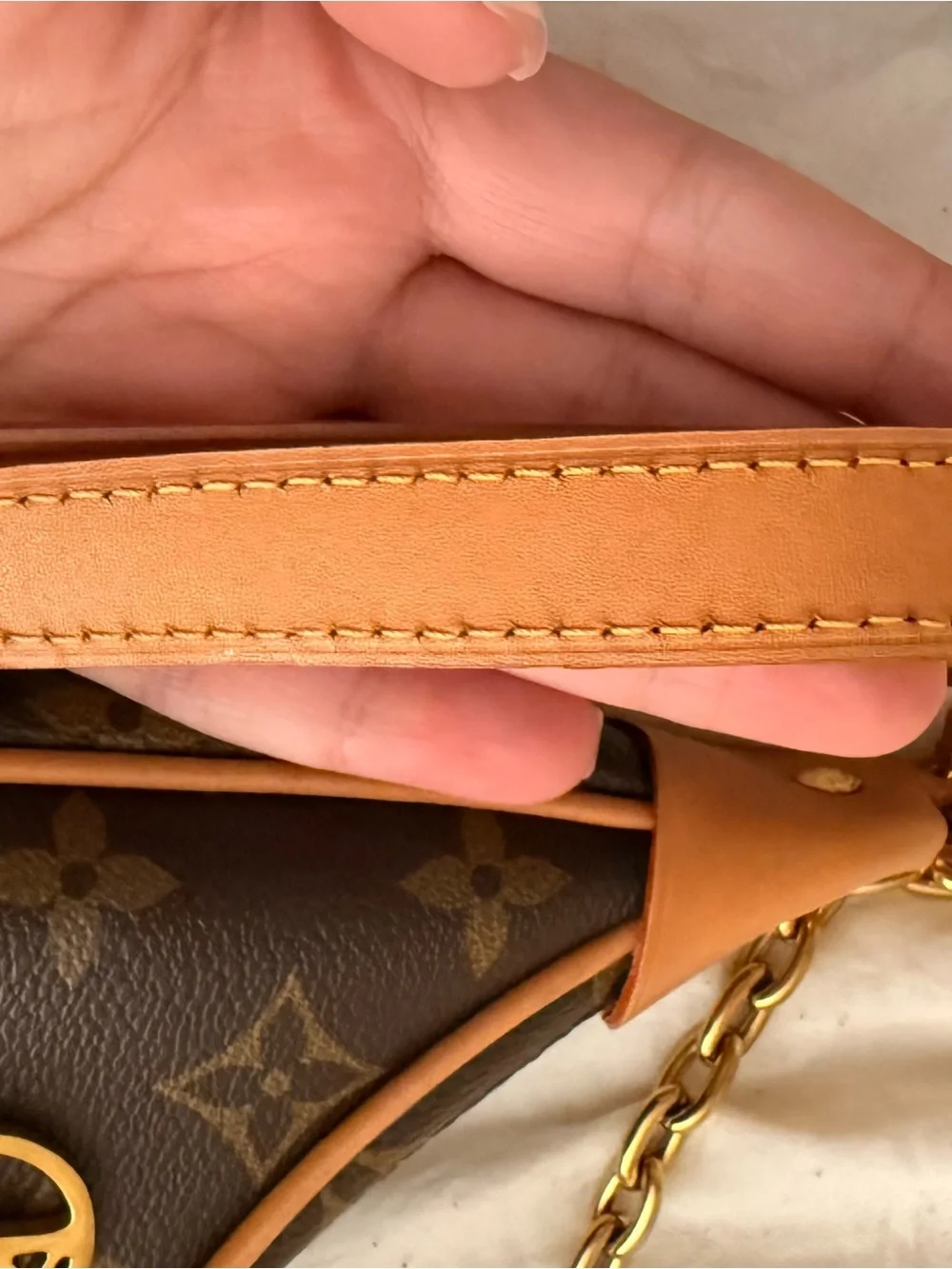 Louis Vuitton Brown Monogram Loop Bag